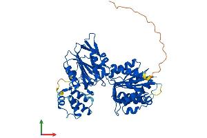 Protein Structure (PS) image for Glycerate Kinase (GLYCTK) (AA 1-523) protein (His tag) (ABIN7559605)