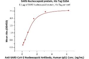 ELISA image for SARS-Coronavirus Nucleocapsid Protein (SARS-CoV N) (Active) protein (His tag) (ABIN7013145)