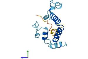AlphaFold protein structure predicition of Mouse Recombinant Pomp Protein, UniprotID Q9CQT5