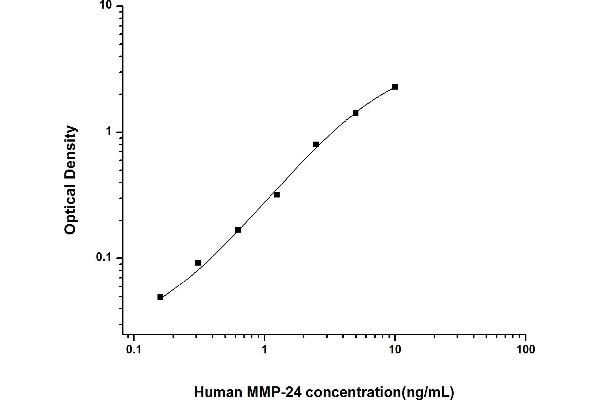 MMP24 ELISA 试剂盒