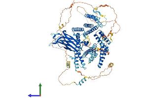 AlphaFold protein structure predicition of Human Recombinant CC2D1A Protein, UniprotID Q6P1N0 (CC2D1A Protein (AA 1-951) (His tag))
