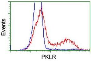 HEK293T cells transfected with either RC206455 overexpress plasmid (Red) or empty vector control plasmid (Blue) were immunostained by anti-PKLR antibody (ABIN2453473), and then analyzed by flow cytometry. (PKLR 抗体)