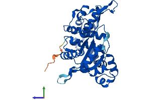 Protein Structure (PS) image for Polymerase (DNA Directed), beta (POLB) (AA 1-335) protein (His tag) (ABIN7559559)