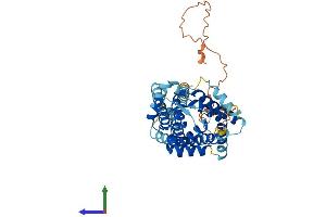 Protein Structure (PS) image for Solute Carrier Family 25, Member 46 (SLC25A46) (AA 1-418) protein (His tag) (ABIN7551679)