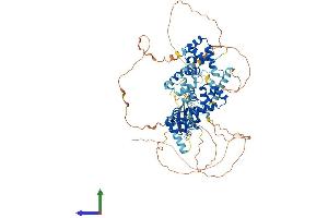 Protein Structure (PS) image for SATB Homeobox 2 (SATB2) (AA 1-733) protein (His tag) (ABIN7555318)