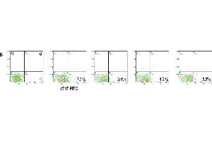 Flow Cytometry (FACS) image for anti-Troponin T (Tn T) (AA 201-298) antibody (ABIN2179815)