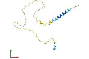 Protein Structure (PS) image for GRB2-Binding Adaptor Protein, Transmembrane (GAPT) (AA 1-157) protein (His tag) (ABIN7559228)