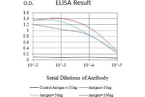 Black line: Control Antigen (100 ng),Purple line: Antigen (10 ng), Blue line: Antigen (50 ng), Red line:Antigen (100 ng) (NEFH 抗体  (AA 2-251))
