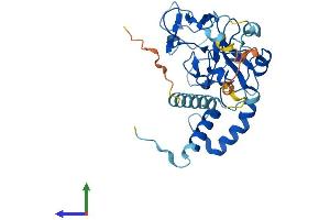 Protein Structure (PS) image for Family with Sequence Similarity 221, Member A (FAM221A) (AA 1-301) protein (His tag) (ABIN7559181)