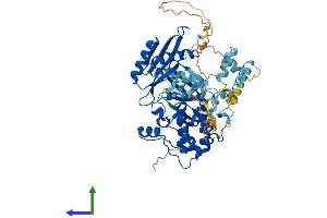 Protein Structure (PS) image for Protein Kinase, AMP-Activated, alpha 1 Catalytic Subunit (PRKAA1) (AA 1-559) protein (His tag) (ABIN7563815)