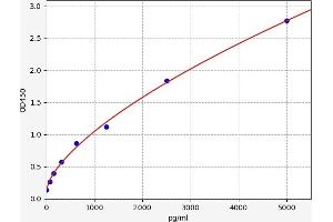 Typical standard curve (LELP1 ELISA 试剂盒)