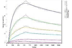 Recombinant Mouse Kitlg captured on Protein A Chip can bind Recombinant Mouse Kit (ABIN7937764, ABIN8117841 and ABIN8117842) with an affinity constant of 15.
