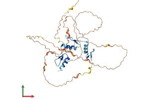 Protein Structure (PS) image for Kruppel-Like Factor 3 (Basic) (KLF3) (AA 1-345) protein (His tag) (ABIN7548717)