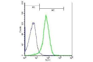 Mouse splenocytes probed with Rabbit Anti-IL-27RA Polyclonal Antibody, Unconjugated . (IL27 Receptor alpha 抗体  (AA 21-120))