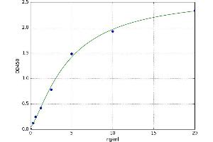 NADPH Oxidase 1 (NOX1) ELISA Kit