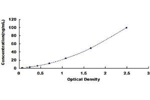 Typical standard curve (ICAM1 ELISA 试剂盒)