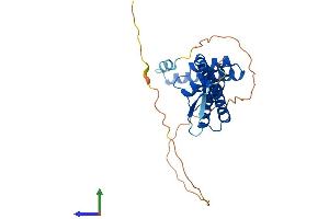 Protein Structure (PS) image for Tetratricopeptide Repeat Domain 1 (TTC1) (AA 1-292) protein (His tag) (ABIN7560128)