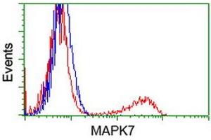 HEK293T cells transfected with either RC203506 overexpress plasmid (Red) or empty vector control plasmid (Blue) were immunostained by anti-MAPK7 antibody (ABIN2454064), and then analyzed by flow cytometry. (MAPK7 抗体)
