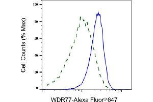 Validation of WDR77 knockdown using flow cytometry. (WDR77 抗体)