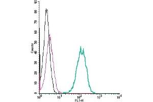 Cell surface detection of GPR142 by indirect flow cytometry in live intact human  monocytic leukemia cell line: + goat-anti-rabbit-FITC.