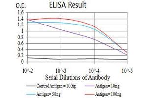 Black line: Control Antigen (100 ng),Purple line: Antigen (10 ng), Blue line: Antigen (50 ng), Red line:Antigen (100 ng)