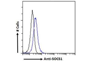 ABIN184575 Flow cytometric analysis of paraformaldehyde fixed HEK293 cells (blue line), permeabilized with 0. (SOCS1 抗体  (C-Term))