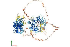 Protein Structure (PS) image for Mitogen-Activated Protein Kinase Kinase Kinase Kinase 1 (MAP4K1) (AA 1-833) protein (His tag) (ABIN7554457)