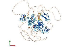 Protein Structure (PS) image for General Transcription Factor II I Repeat Domain-Containing 1 (GTF2IRD1) (AA 1-1104) protein (His tag) (ABIN7565082)