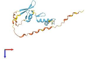 ZNF580 Protein (AA 1-172) (His tag)