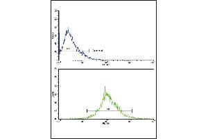 Flow cytometric analysis of HepG2 cells using CATB Antibody (Center)(bottom histogram) compared to a negative control cell (top histogram). (Tyrosinase-Related Protein 1 抗体  (AA 198-227))