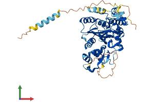 Protein Structure (PS) image for Glucosaminyl (N-Acetyl) Transferase Family Member 7 (GCNT7) (AA 1-430) protein (His tag) (ABIN7547890)