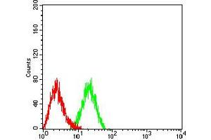 Flow cytometric analysis of HL-60 cells using CD166 mouse mAb (green) and negative control (red). (CD166 抗体  (AA 227-381))