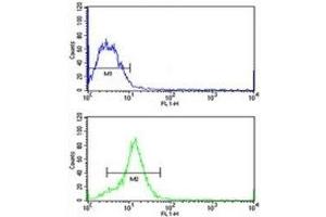 HMGA1 antibody flow cytometric analysis of MCF-7 cells (green) compared to a negative control (blue). (HMGA1 抗体  (AA 64-93))