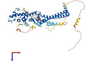 CHMP7 Protein (AA 1-451) (His tag)