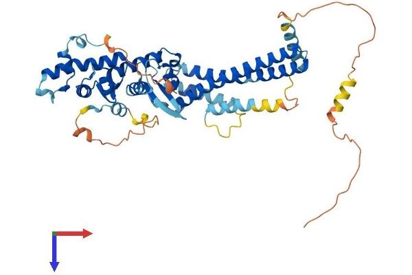CHMP7 Protein (AA 1-451) (His tag)