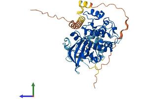 Protein Structure (PS) image for serum/glucocorticoid Regulated Kinase 1 (SGK1) (AA 1-431) protein (His tag) (ABIN7555518)