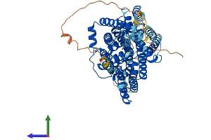 Protein Structure (PS) image for Solute Carrier Family 5 (Sodium/iodide Cotransporter), Member 5 (SLC5A5) (AA 1-618) protein (His tag) (ABIN7560464)