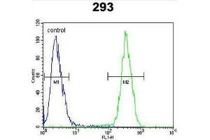 CLPX Antibody (C-term) flow cytometric analysis of 293 cells (right histogram) compared to a negative control cell (left histogram).