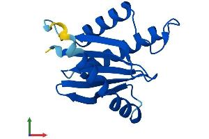 Protein Structure (PS) image for Trafficking Protein Particle Complex 2 (TRAPPC2) (AA 1-140) protein (His tag) (ABIN7544703)