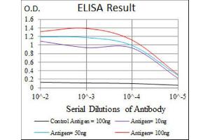 ELISA image for anti-Hexosaminidase A (HEXA) antibody (ABIN1846273) (Hexosaminidase A 抗体)