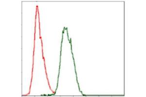 Flow Cytometry (FACS) image for anti-Coactosin-Like Protein antibody (ABIN1846261) (COTL1 抗体)