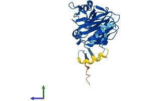 Protein Structure (PS) image for SplA/ryanodine Receptor Domain and SOCS Box Containing 1 (SPSB1) (AA 1-273) protein (His tag) (ABIN7561015)