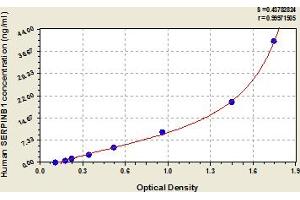 Typical Standard Curve (SERPINB1 ELISA 试剂盒)