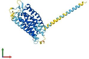 Protein Structure (PS) image for Lysophosphatidic Acid Receptor 6 (LPAR6) (AA 1-344) protein (His tag) (ABIN7558759)