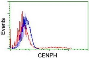 HEK293T cells transfected with either RC204531 overexpress plasmid (Red) or empty vector control plasmid (Blue) were immunostained by anti-CENPH antibody (ABIN2455251), and then analyzed by flow cytometry. (CENPH 抗体)