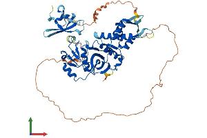 Protein Structure (PS) image for K(lysine) Acetyltransferase 5 (KAT5) (AA 1-513) protein (His tag) (ABIN7564585)
