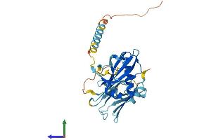 AlphaFold protein structure predicition of Human Recombinant PIH1D1 Protein, UniprotID Q9NWS0