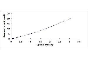 Typical standard curve (SYNE1 ELISA 试剂盒)