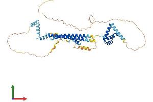 Protein Structure (PS) image for Pre-B-Cell Leukemia Homeobox Protein 2 (PBX2) (AA 1-430) protein (His tag) (ABIN7562397)