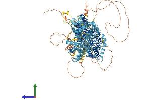 Protein Structure (PS) image for Solute Carrier Family 4, Sodium Bicarbonate Transporter, Member 10 (SLC4A10) (AA 1-1118) protein (His tag) (ABIN7563804)